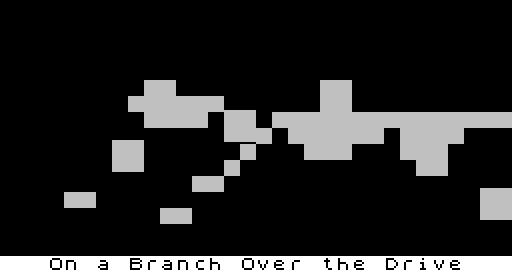 On a Branch Over the Drive