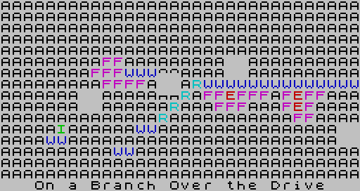 On a Branch Over the Drive